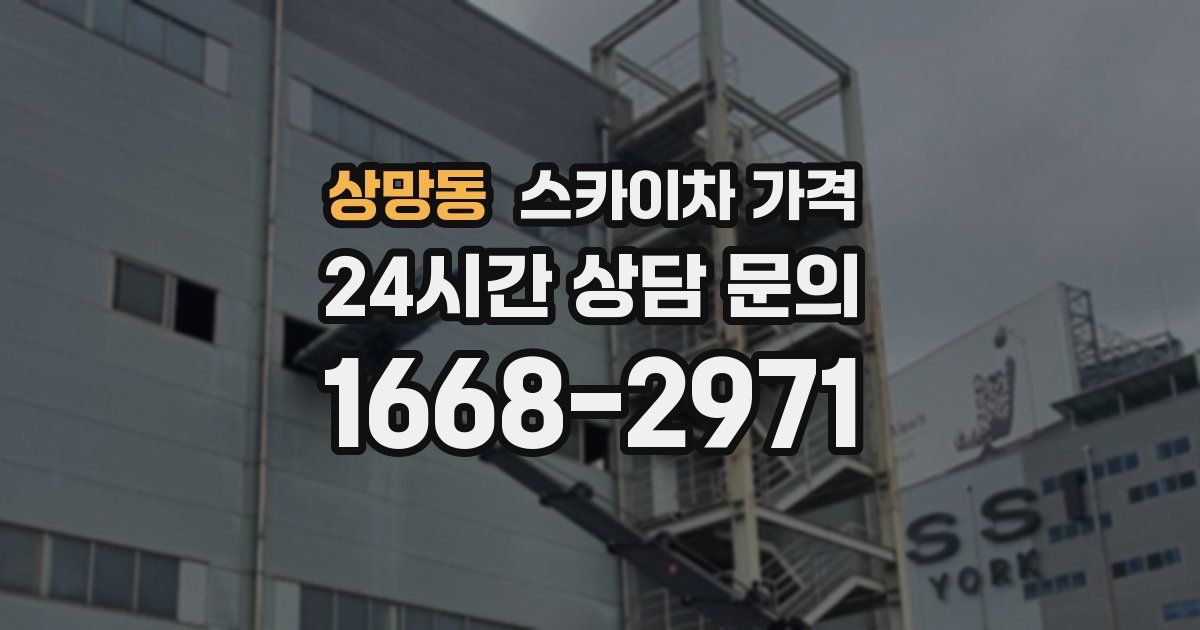 상망동 스카이차 가격