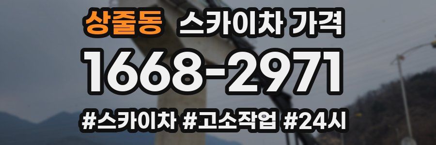 상줄동 스카이차 가격