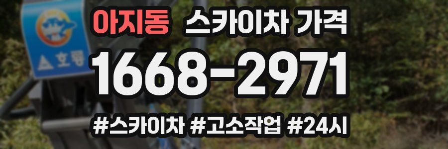 아지동 스카이차 가격