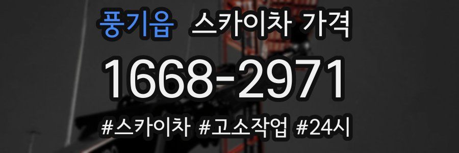 풍기읍 스카이차 가격