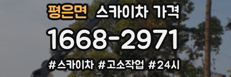 평은면 스카이차 가격