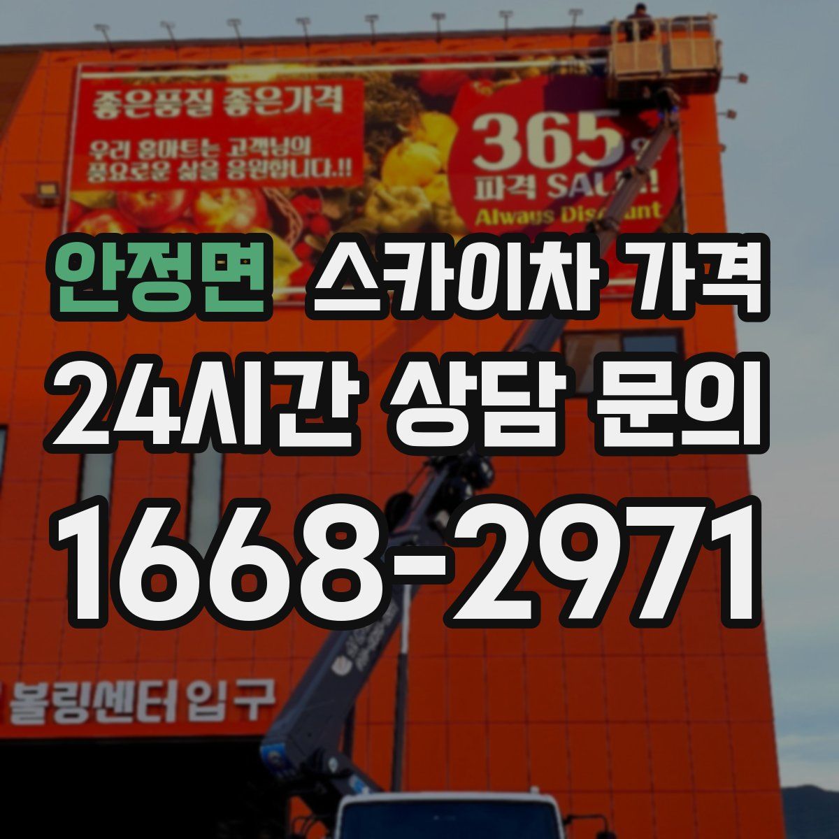 안정면 스카이차 가격