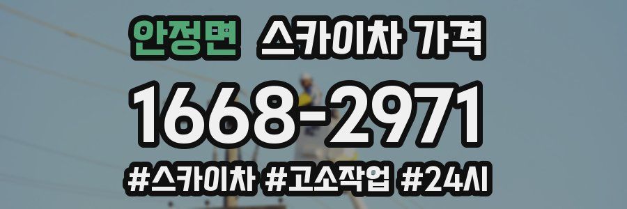 안정면 스카이차 가격