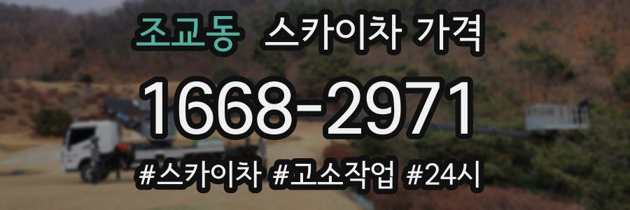 조교동 스카이차 가격