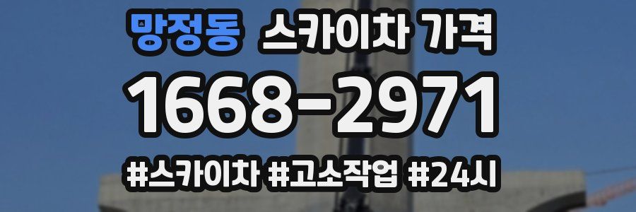 망정동 스카이차 가격