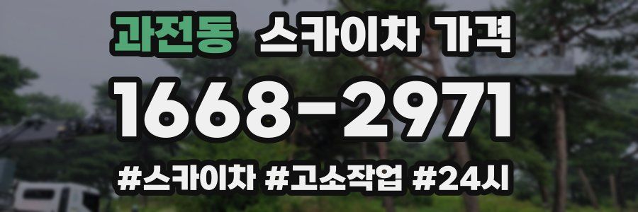 과전동 스카이차 가격