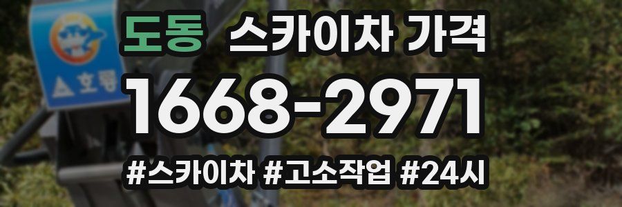 도동 스카이차 가격