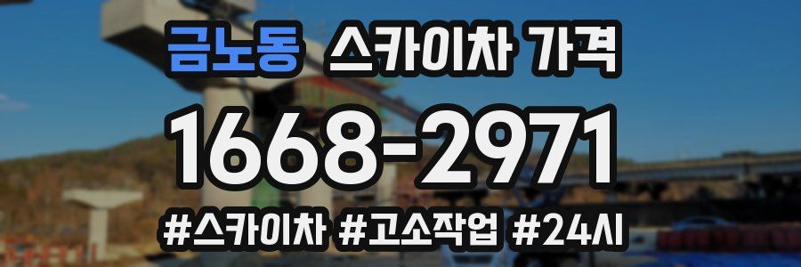 금노동 스카이차 가격