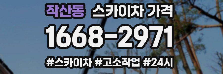 작산동 스카이차 가격