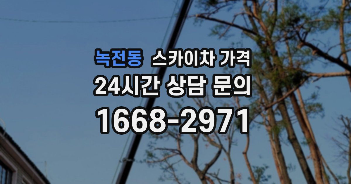 녹전동 스카이차 가격