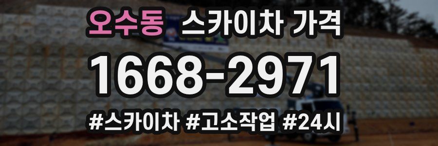 오수동 스카이차 가격