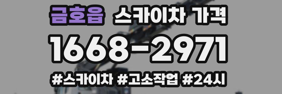 금호읍 스카이차 가격