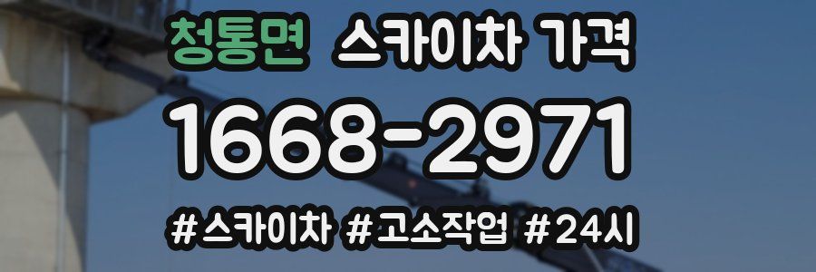 청통면 스카이차 가격