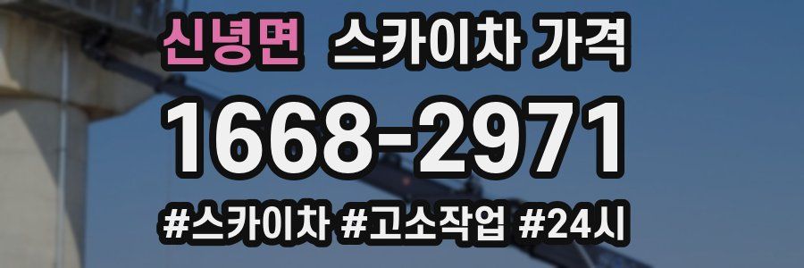 신녕면 스카이차 가격