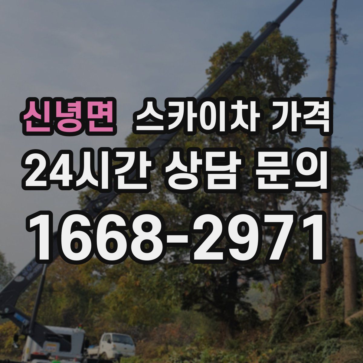 신녕면 스카이차 가격