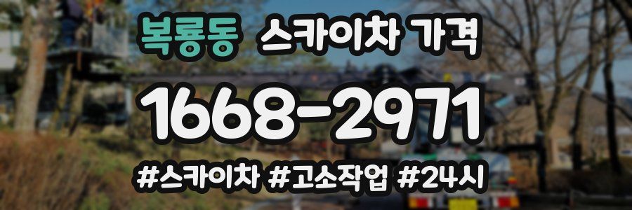 복룡동 스카이차 가격