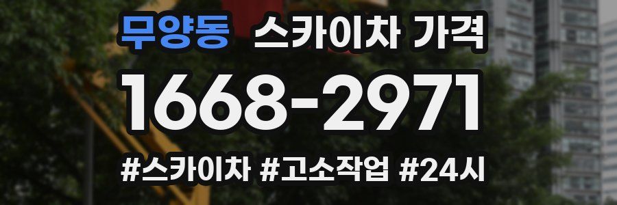 무양동 스카이차 가격