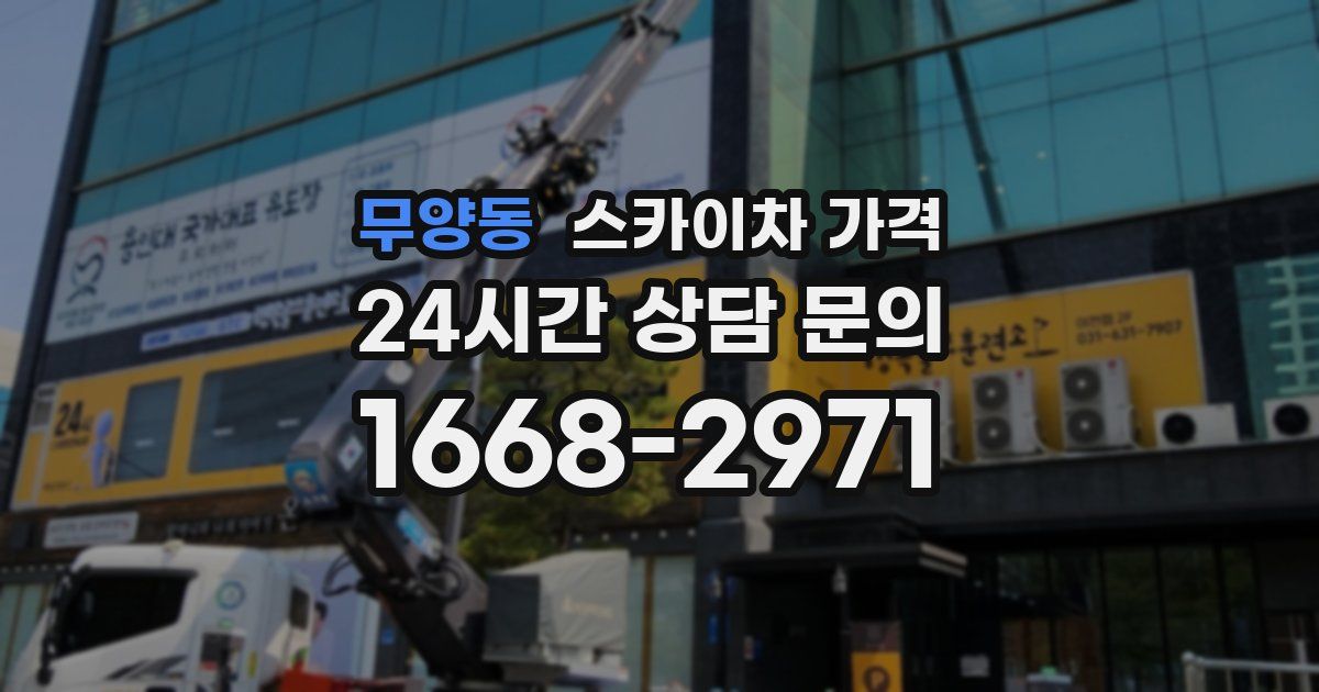 무양동 스카이차 가격