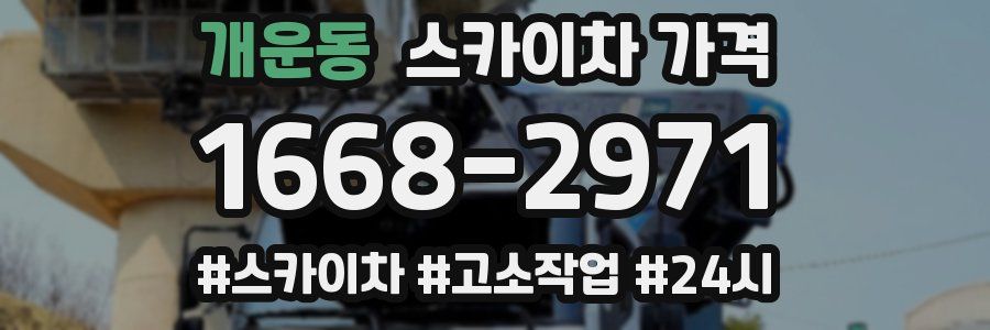 개운동 스카이차 가격