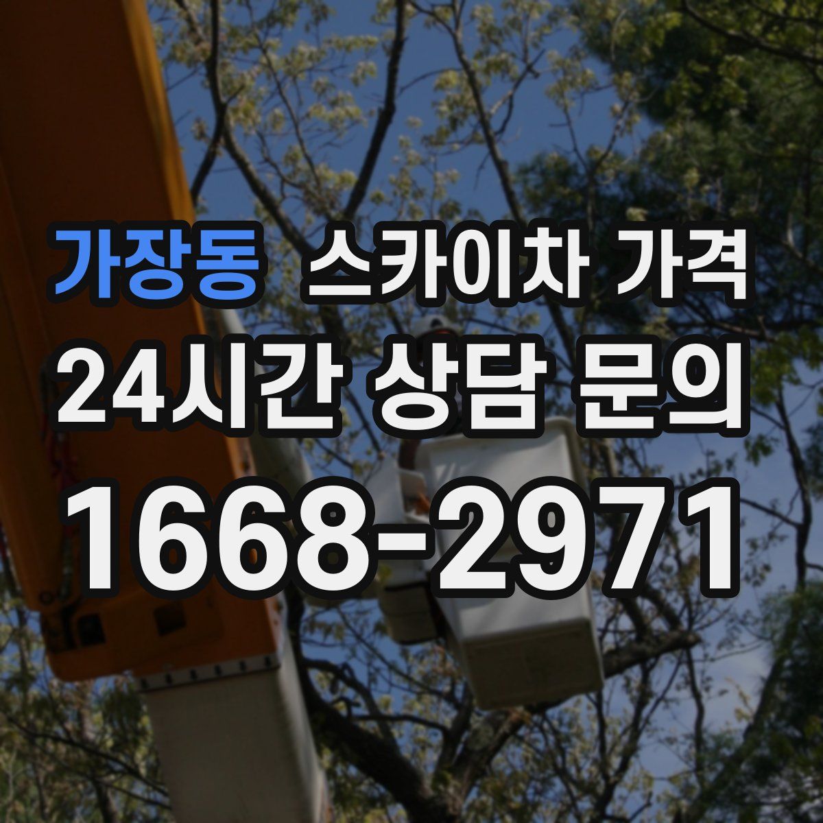 가장동 스카이차 가격