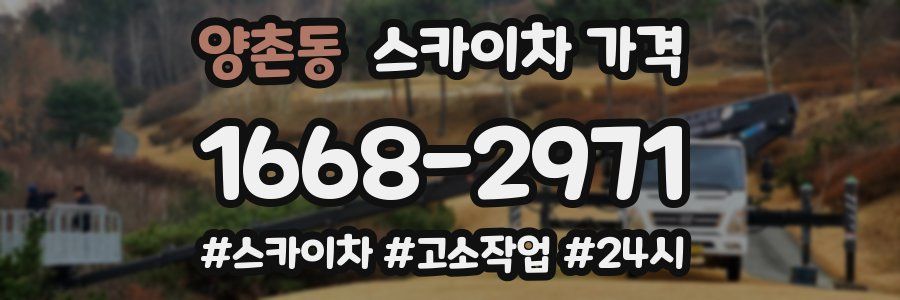 양촌동 스카이차 가격