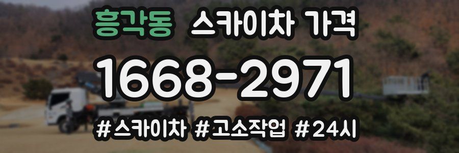 흥각동 스카이차 가격