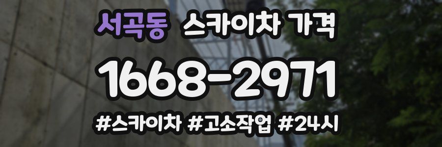 서곡동 스카이차 가격