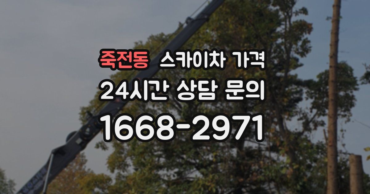 죽전동 스카이차 가격