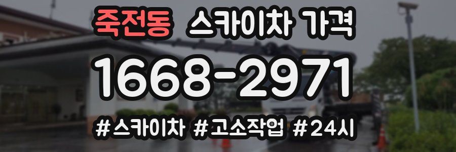 죽전동 스카이차 가격