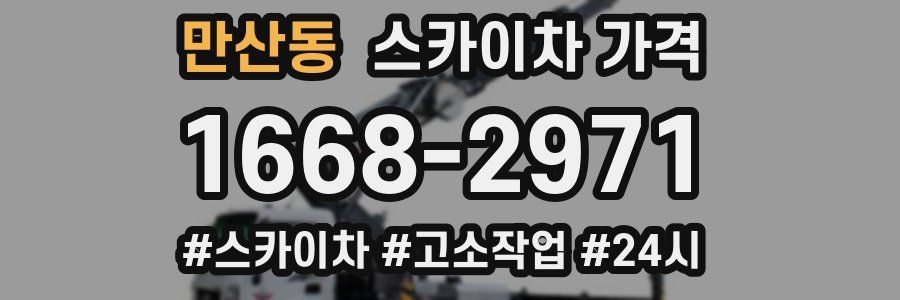 만산동 스카이차 가격