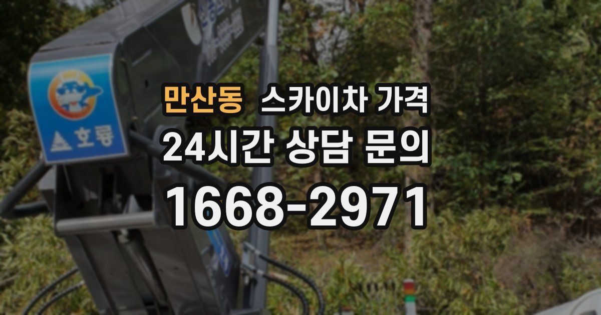 만산동 스카이차 가격