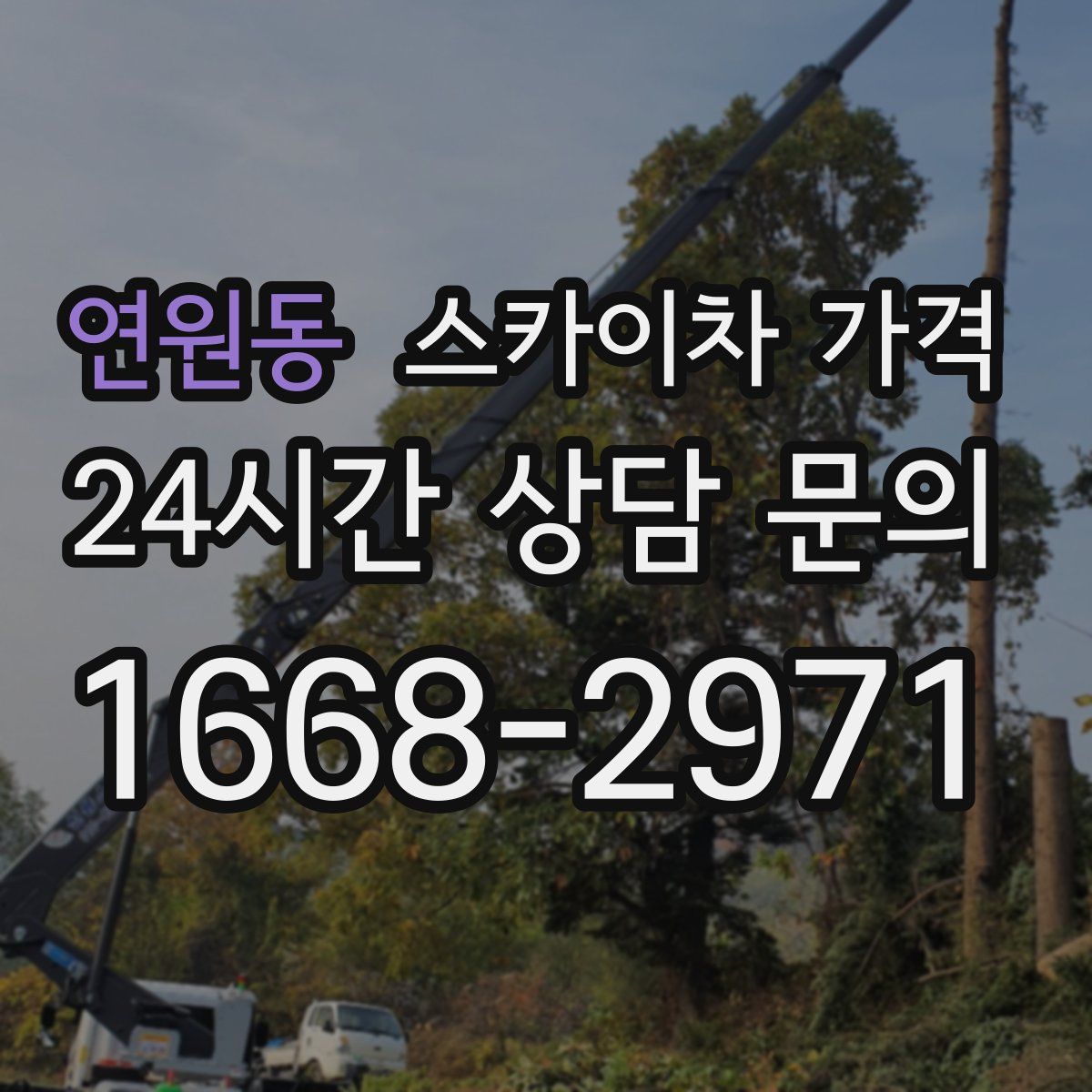 연원동 스카이차 가격