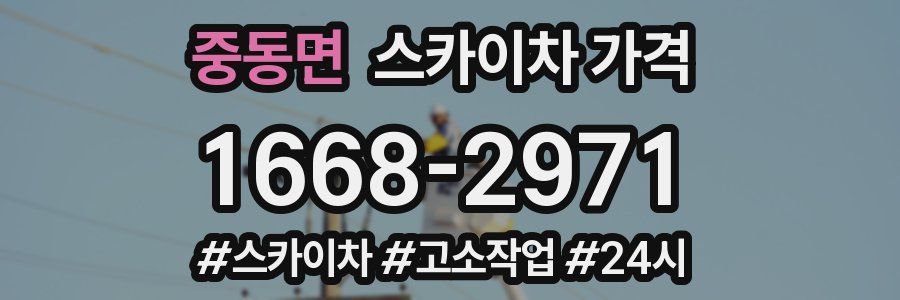 중동면 스카이차 가격