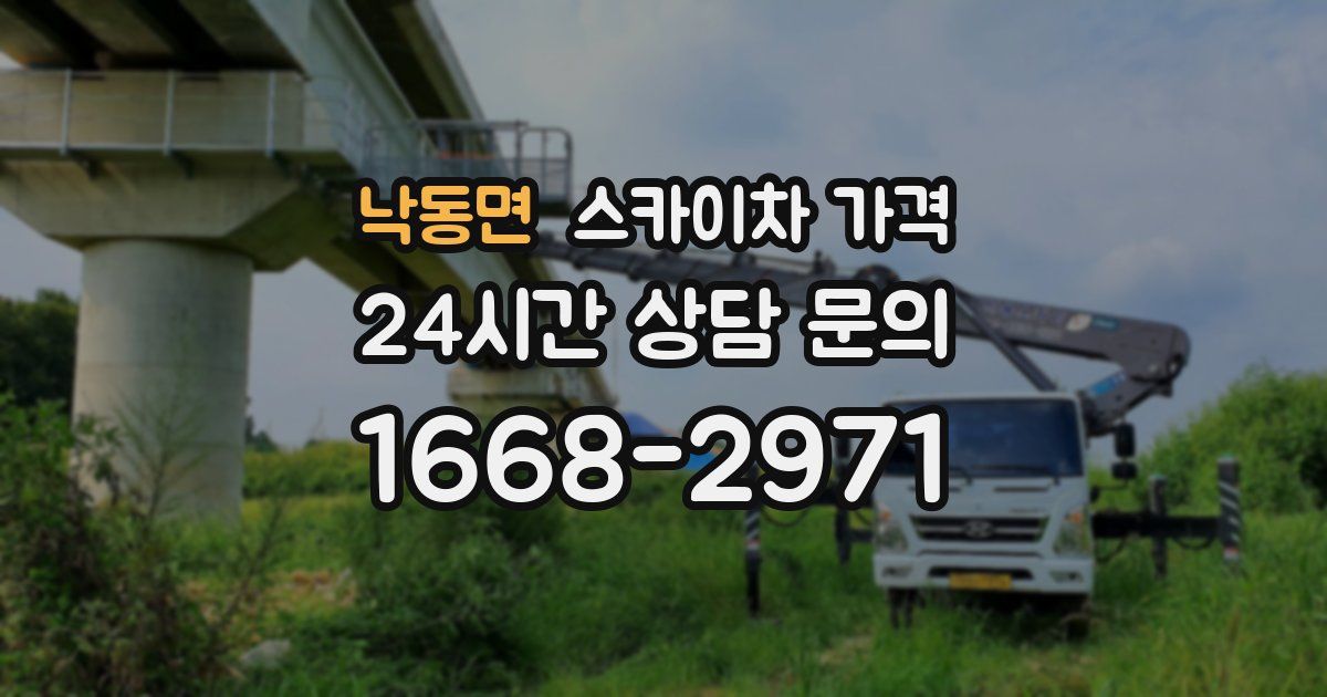 낙동면 스카이차 가격