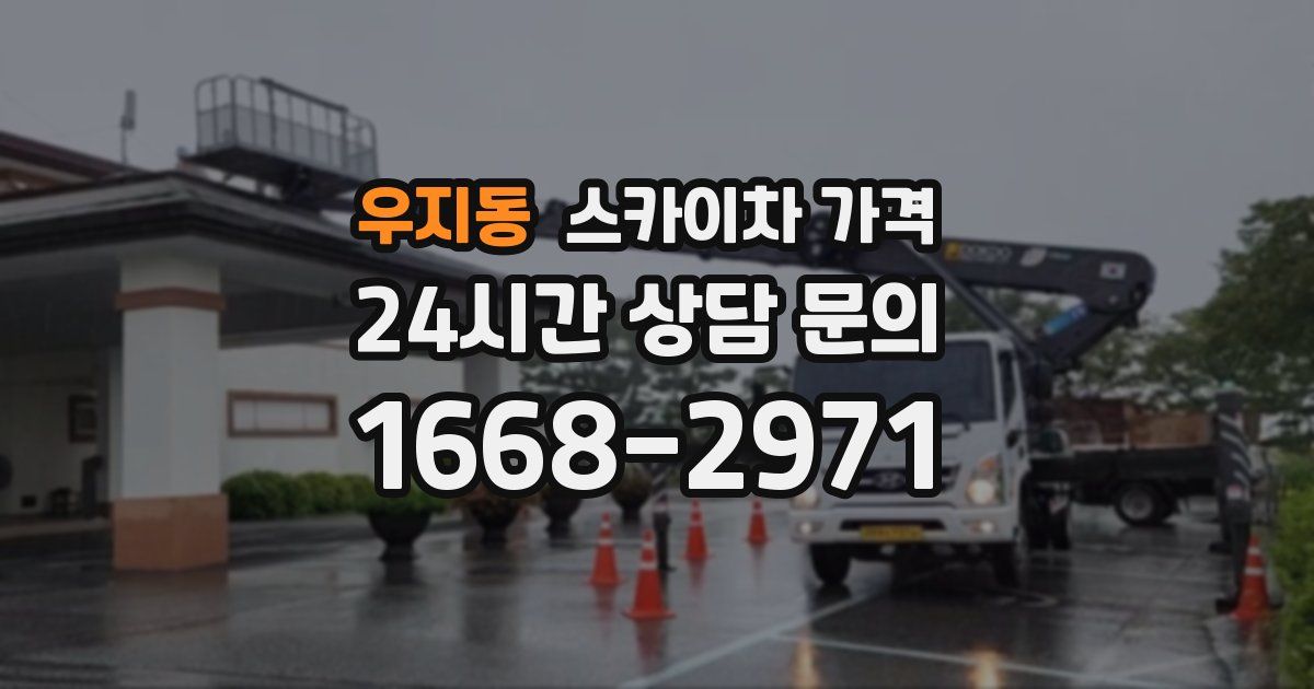 우지동 스카이차 가격