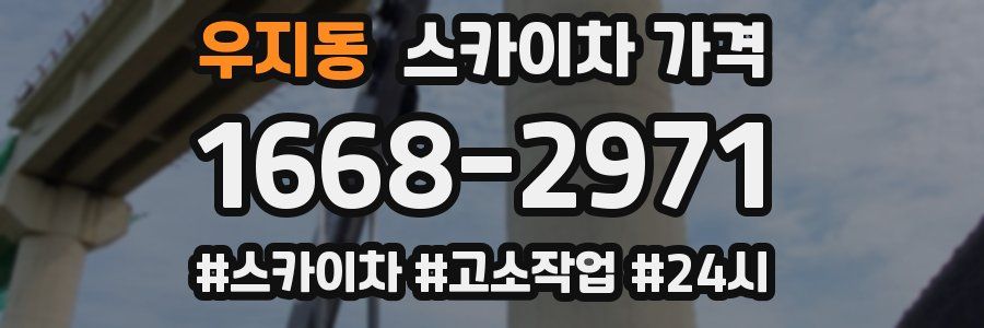 우지동 스카이차 가격