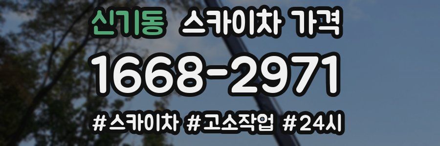 신기동 스카이차 가격