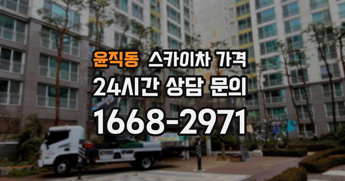 윤직동 스카이차 가격