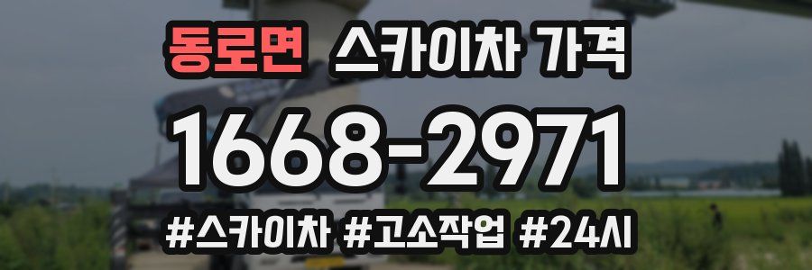 동로면 스카이차 가격