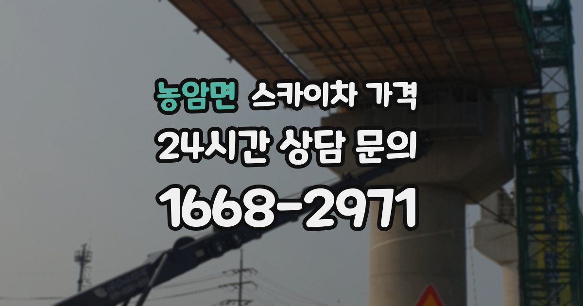 농암면 스카이차 가격