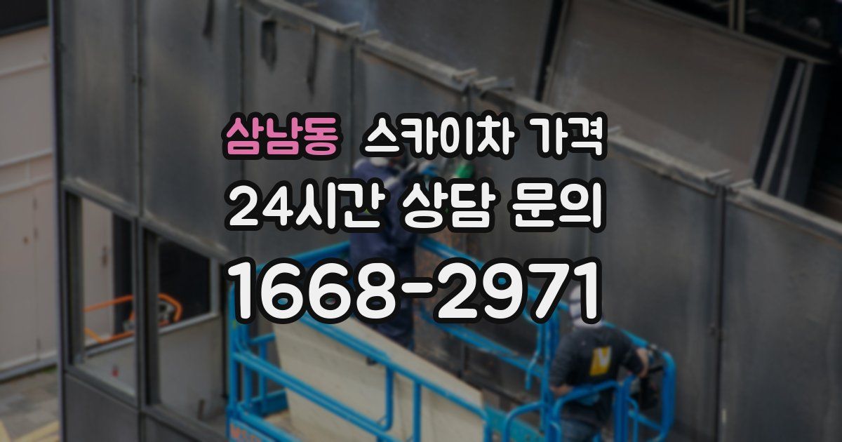 삼남동 스카이차 가격