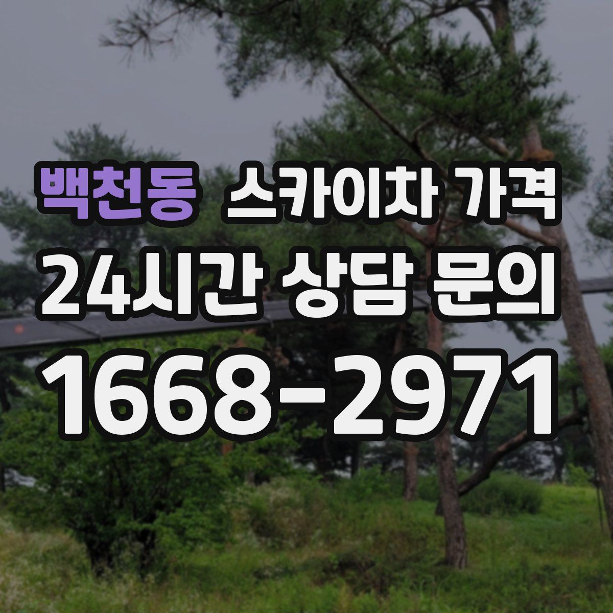 백천동 스카이차 가격