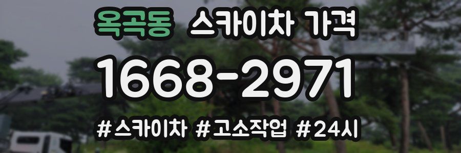 옥곡동 스카이차 가격