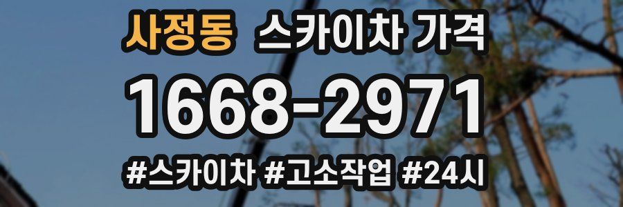 사정동 스카이차 가격