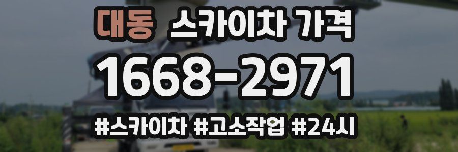 대동 스카이차 가격