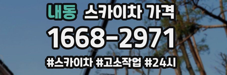 내동 스카이차 가격