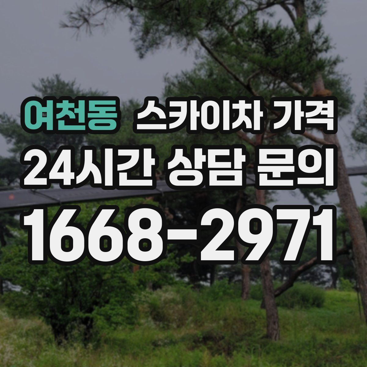 여천동 스카이차 가격