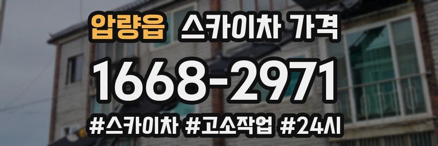 압량읍 스카이차 가격