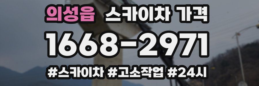 의성읍 스카이차 가격