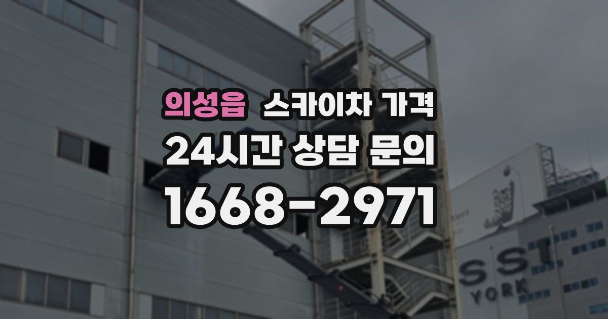 의성읍 스카이차 가격